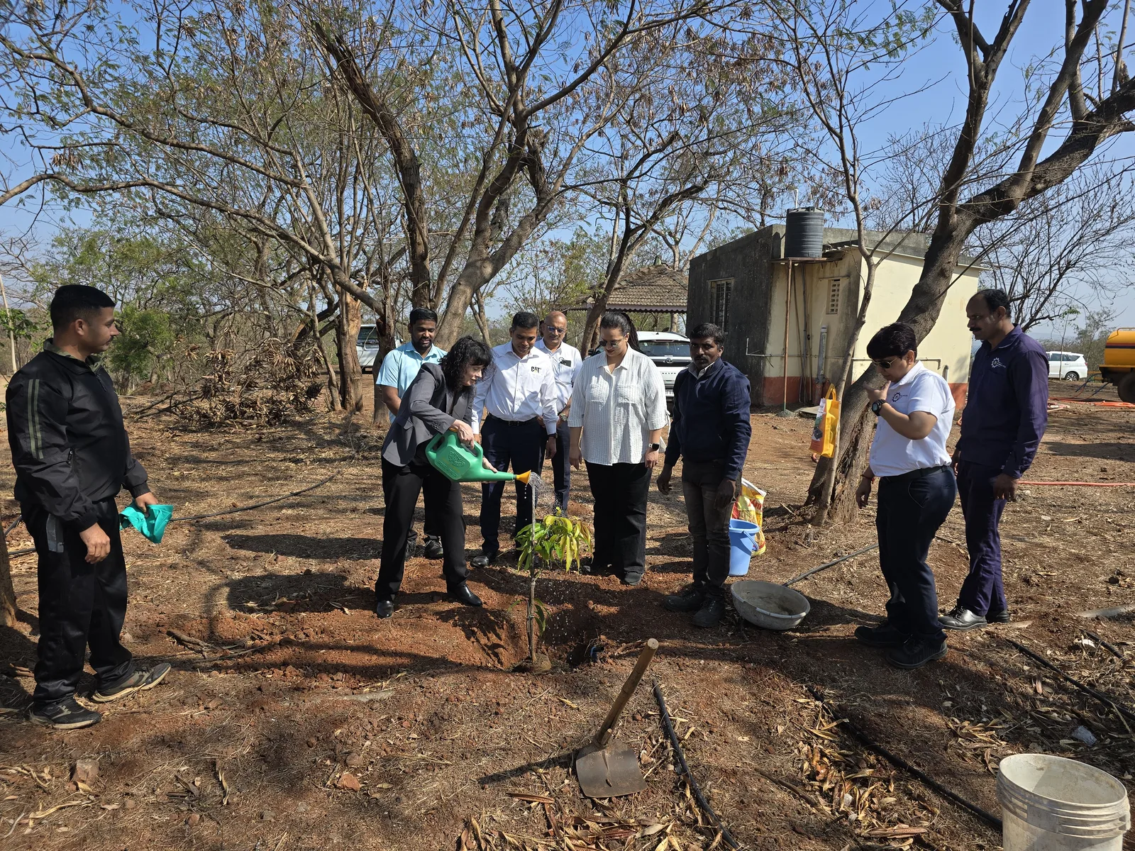 Tree Plantation