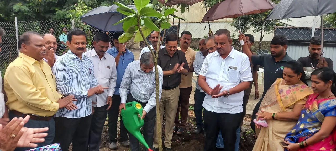 Tree Plantation