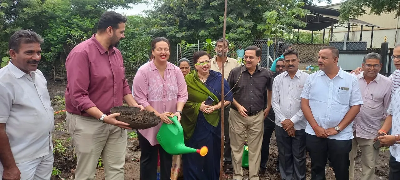 Tree Plantation