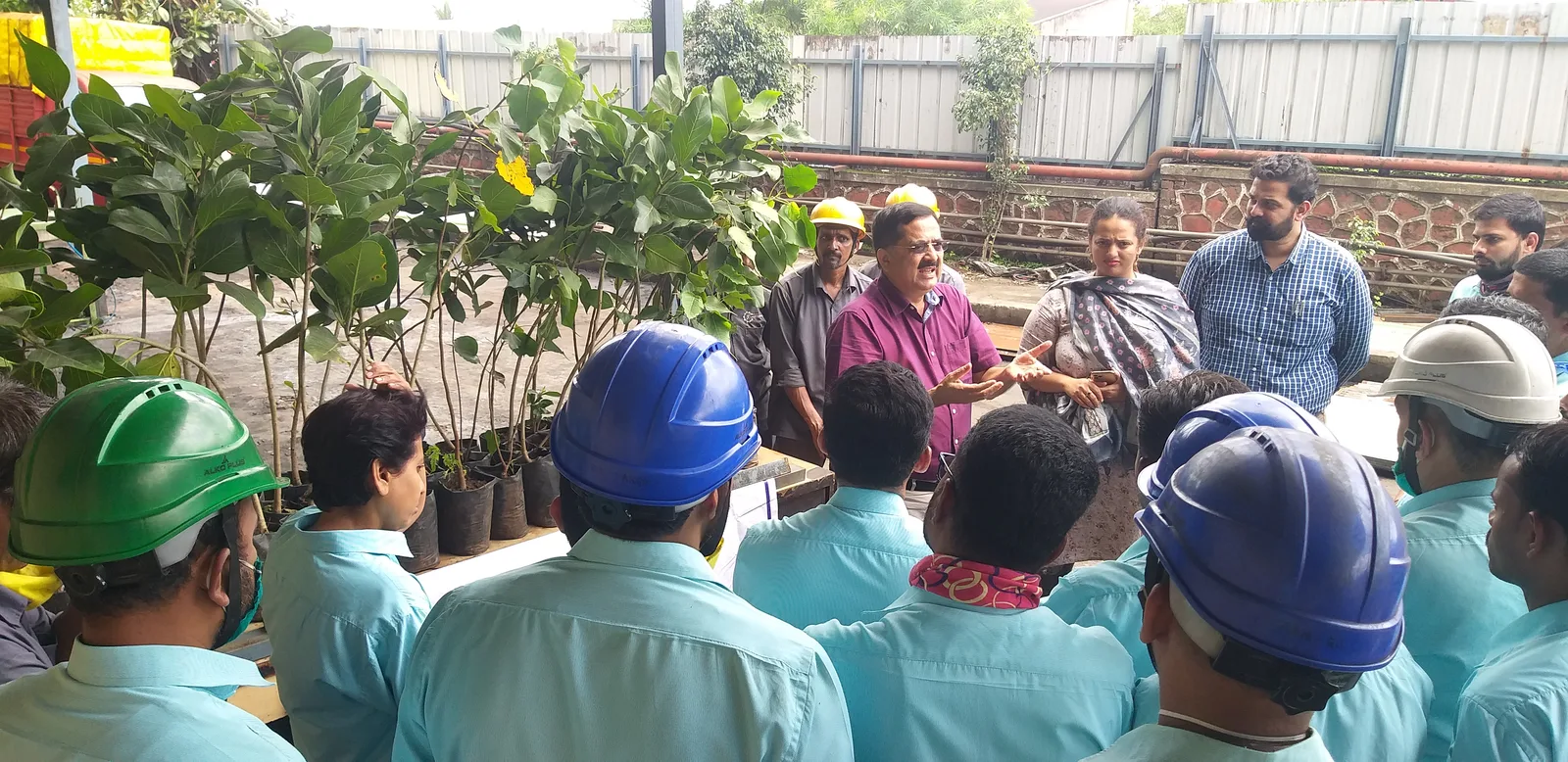 Tree Plantation